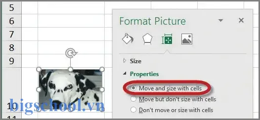 Insert Picture To Cell Excel