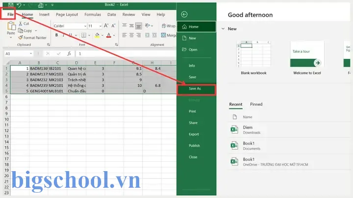 Lưu 1 Sheet Trong Excel