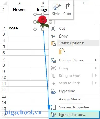 Cách Dán Ảnh Vào Ô Trong Excel: Hướng Dẫn Chi Tiết Từ Cơ Bản Đến Nâng Cao 17 Paste Image To Cell Excel