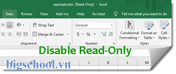 Cách Tắt Chế Độ Read‑only Trong Excel: Hướng Dẫn Chi Tiết Từ A Đến Z 3 Turn Off Read Only Excel