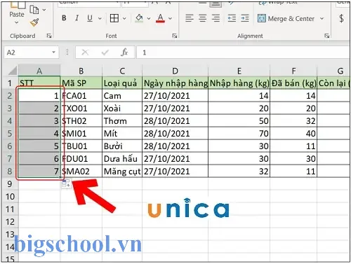 Cách Đánh Số Thứ Tự Trong Excel Khi Filter: Hướng Dẫn Chi Tiết Và Các Mẹo Thực Tiễn 3 Cách Đánh Số Thứ Tự Trong Excel Khi Filter