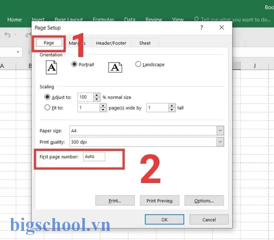 Cách Đánh Số Trang Bất Kỳ Trong Excel 2026 9 Cách Đánh Số Trang Bất Kỳ Trong Excel 2010