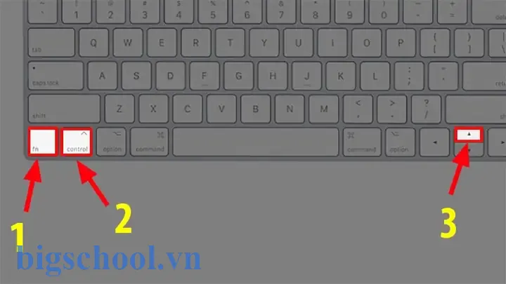 Cách Di Chuyển Các Sheet Trong Excel Bằng Bàn Phím Cách Di Chuyển Các Sheet Trong Excel Bằng Bàn Phím