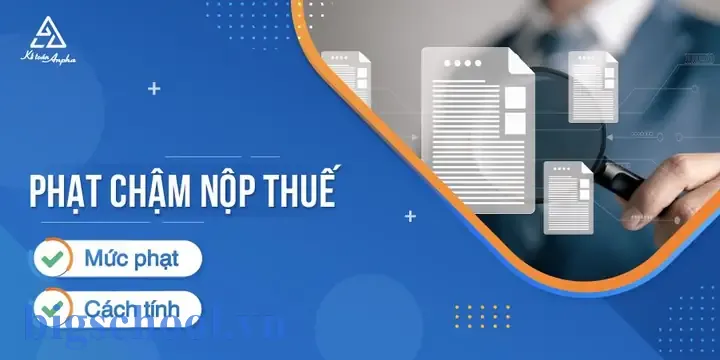 Cách Tính Tiền Phạt Chậm Nộp Thuế Trong Excel