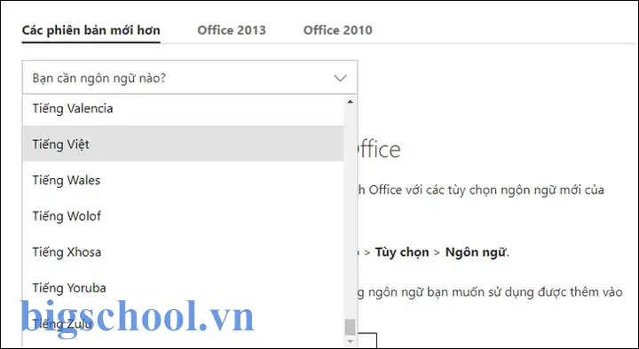 Cai Dat Tien Ich Tieng Viet Cho Excel 2010