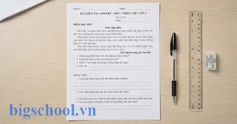 Cấu trúc bài kiểm tra Tiếng Việt lớp 3 với phần đọc hiểu và viết văn