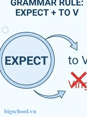 Giải đáp chính xác cấu trúc expect to V hay Ving 8 Sơ đồ tư duy minh họa cấu trúc ngữ pháp expect to V tiếng Anh