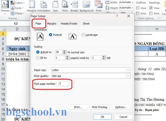Đánh Số Trang Từ Trang 2 Trong Excel 11 Đánh Số Trang Từ Trang 2 Trong Excel