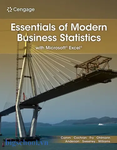 Essentials Of Modern Business Statistics With Microsoft Excel: Hướng Dẫn Toàn Diện 9 Essentials Of Modern Business Statistics With Microsoft Excel