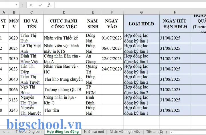 File Theo Dõi Hợp Đồng Lao Động Bằng Excel