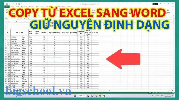 Hướng Dẫn Copy Từ Excel Sang Word Sao Cho Đẹp