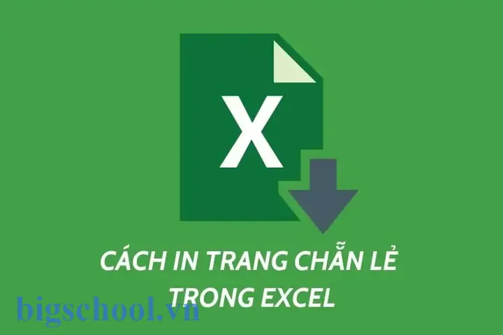 Hướng Dẫn In Trang Chẵn Lẻ Trong Excel 2010