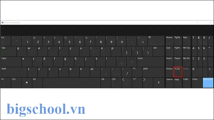 Không Dùng Được Phím Mũi Tên Trong Excel