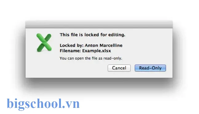 Lỗi File Excel Is Locked For Editing By Another User Lỗi File Excel Is Locked For Editing By Another User