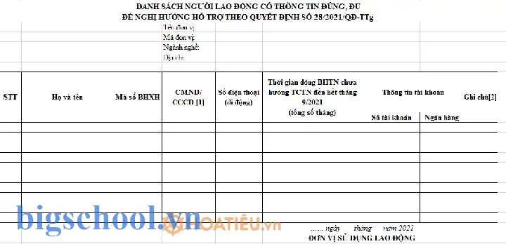 Mẫu 02 Quyết Định 28/2026 Qđ-ttg: Cách Áp Dụng Và Hướng Dẫn Thực Tiễn Trong Excel 11 Mẫu 02 Quyết Định 28 2021 Qđ Ttg Excel