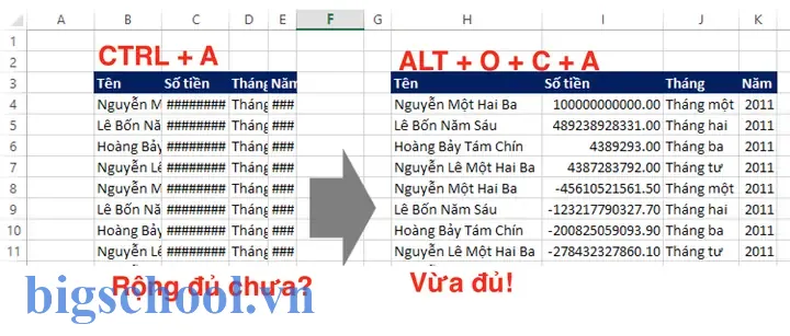 Phím Tắt Điều Chỉnh Độ Rộng Cột Trong Excel
