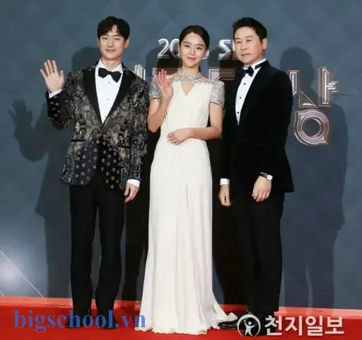 Sbs Drama Award For Excellence In Acting Monday Tuesday Drama