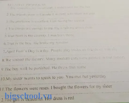 Giáo Sư Xuất Sắc Và Hành Trình Học Tập Của Tôi 9 The Professor Is Excellent I Am Taking His Course