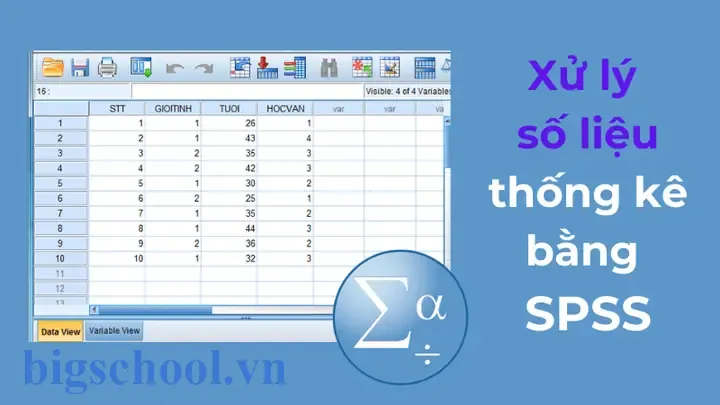 Xử Lý Số Liệu Nghiên Cứu Khoa Học Bằng Excel Xử Lý Số Liệu Nghiên Cứu Khoa Học Bằng Excel